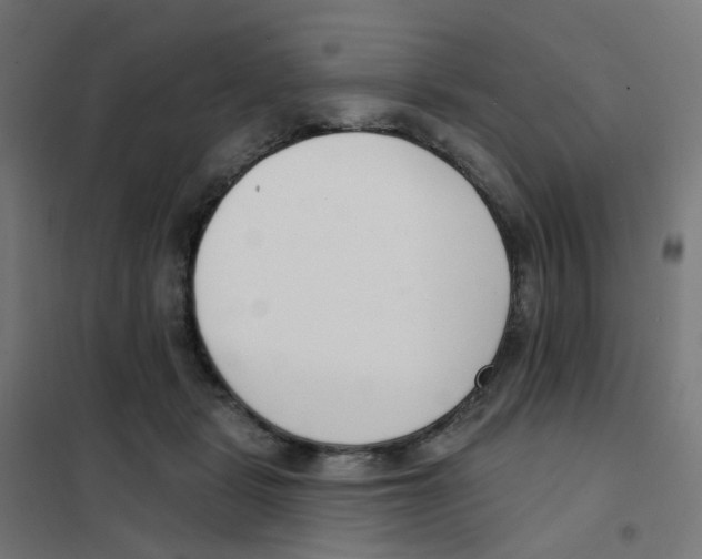 X0000101700461200808071203