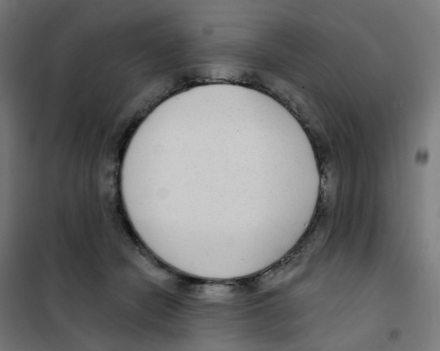 X0000101700462200808071203