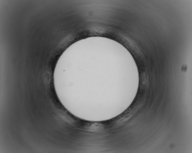 X0000101700463200808071203
