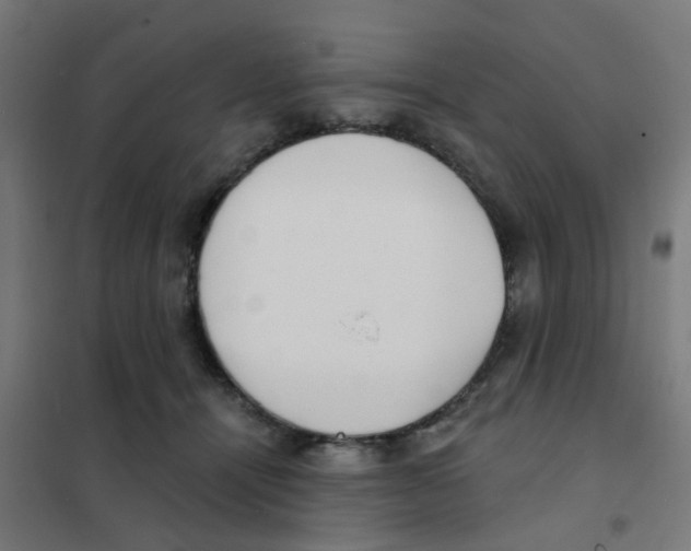 X0000101700464200808071203