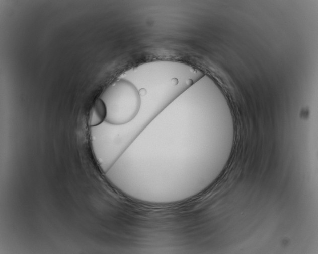 X0000101700465200808071203