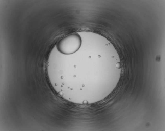 X0000101700466200808071203