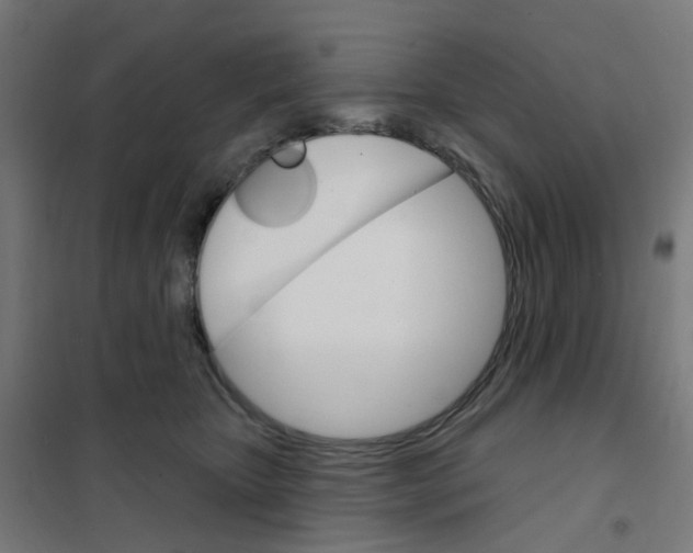 X0000101700467200808071203