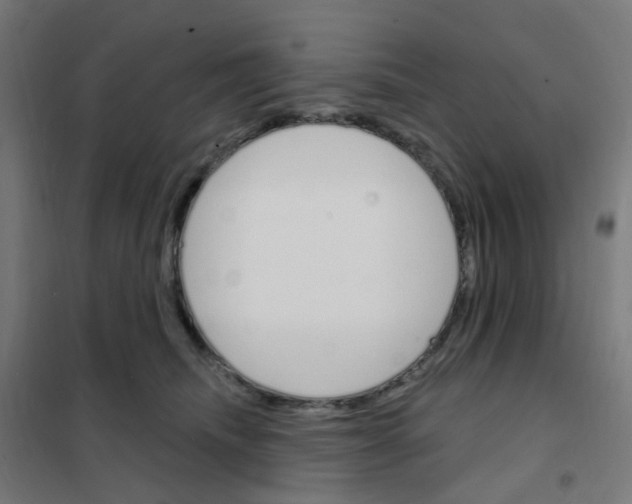 X0000101700468200808071203