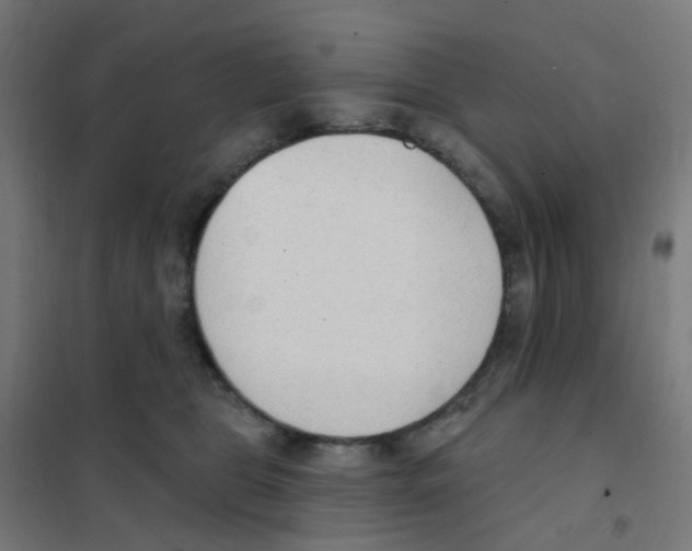 X0000101700469200808071203