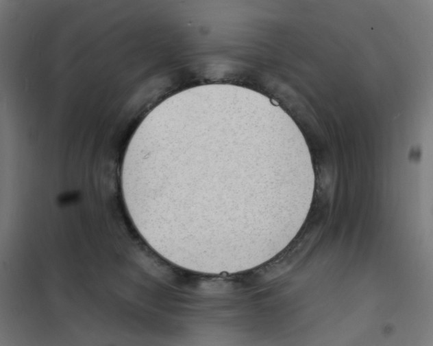 X0000101700470200808071203