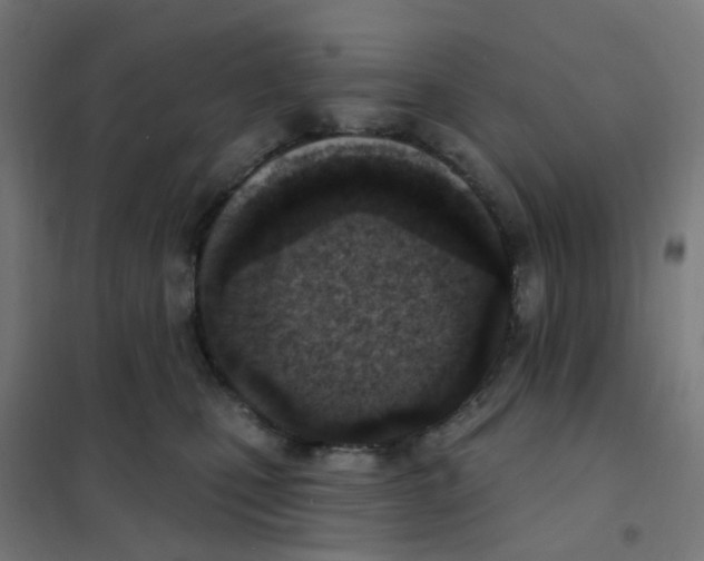 X0000101700471200808071203