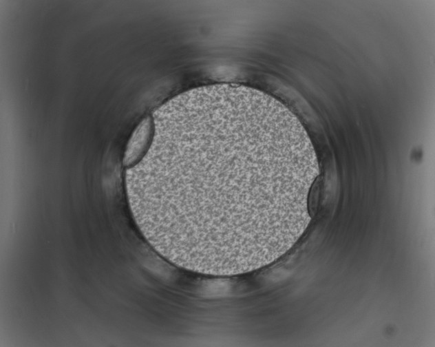 X0000101700473200808071203