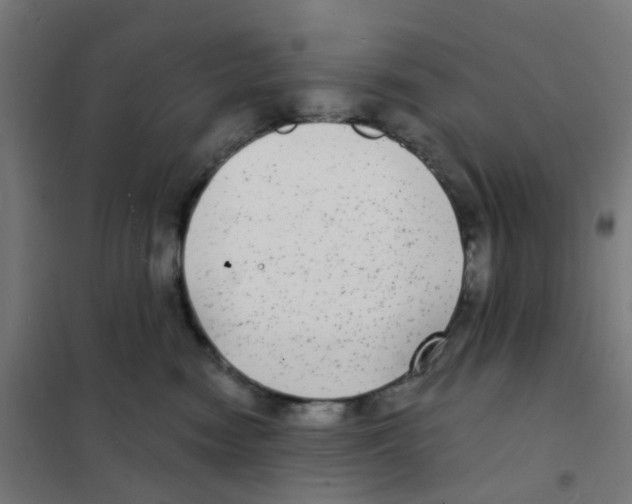 X0000101700474200808071203
