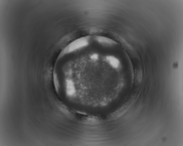 X0000101700475200808071203