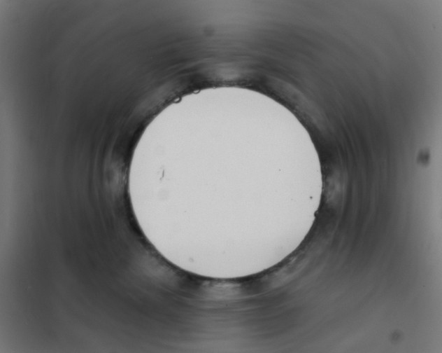 X0000101700476200808071203