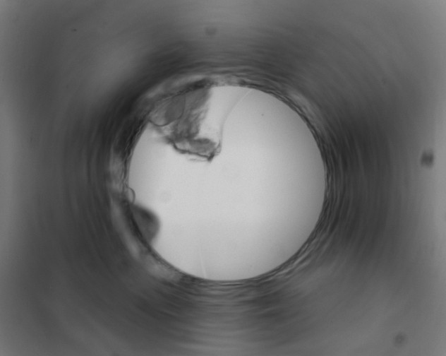 X0000101700477200808071203