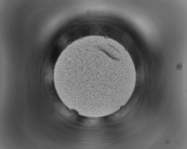 X0000101700479200808071203