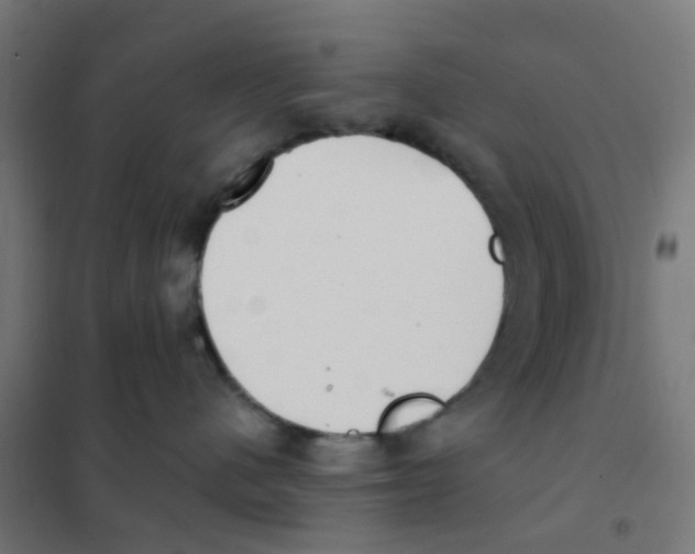 X0000101700480200808071203