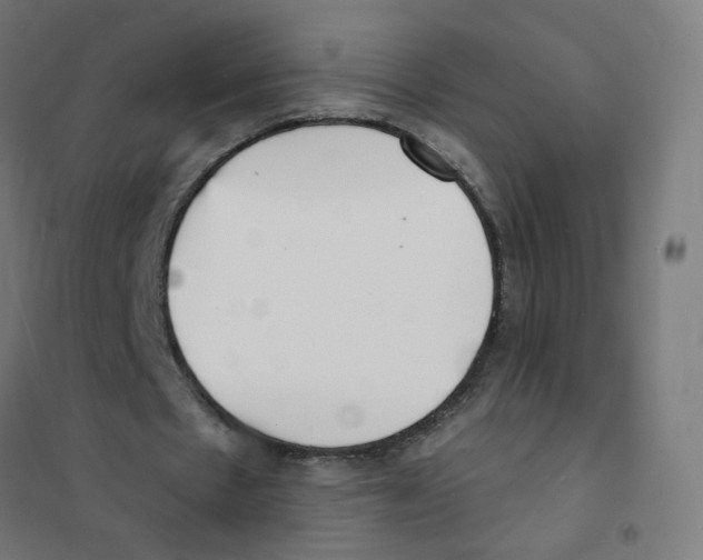 X0000101700481200808071203