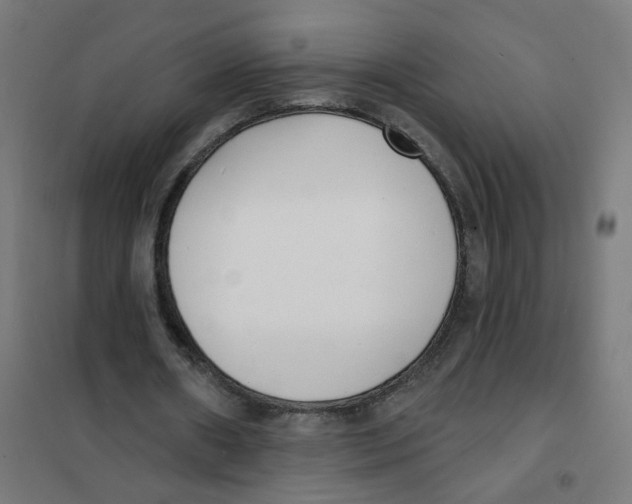 X0000101700482200808071203