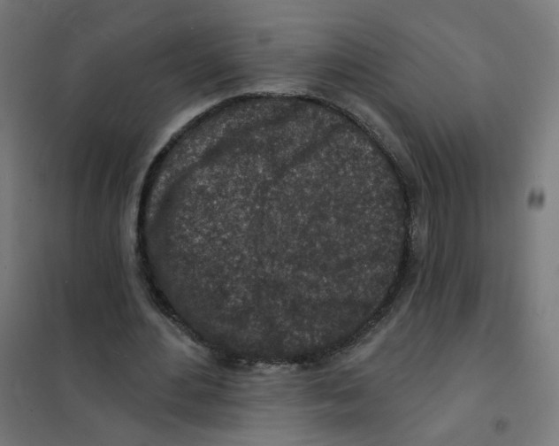 X0000101700484200808071202