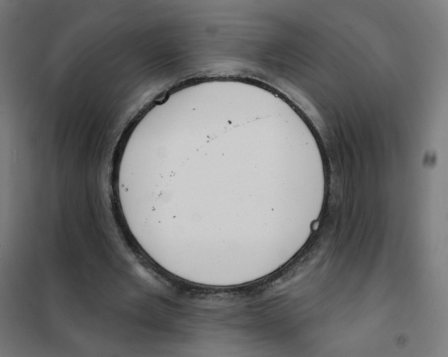 X0000101700485200808071202