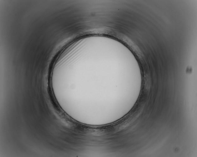 X0000101700486200808071202