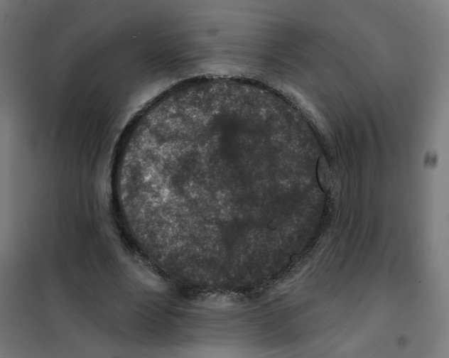 X0000101700488200808071202