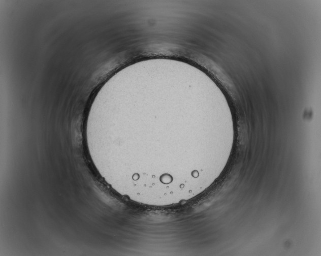 X0000101700489200808071202