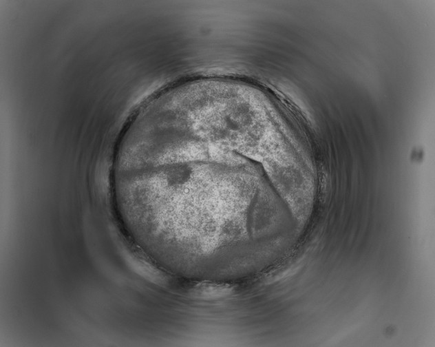 X0000101700491200808071202