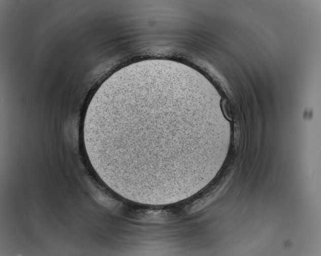 X0000101700493200808071202