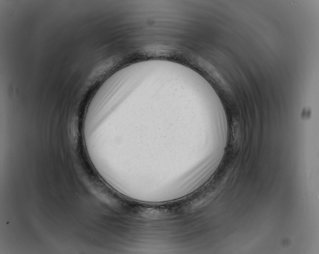 X0000101700494200808071202