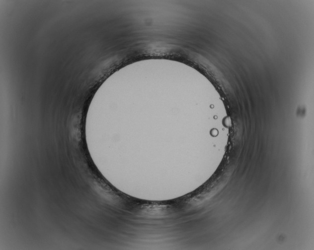 X0000101700497200808071202