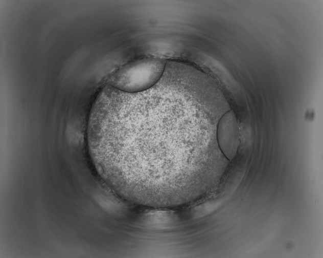 X0000101700499200808071202