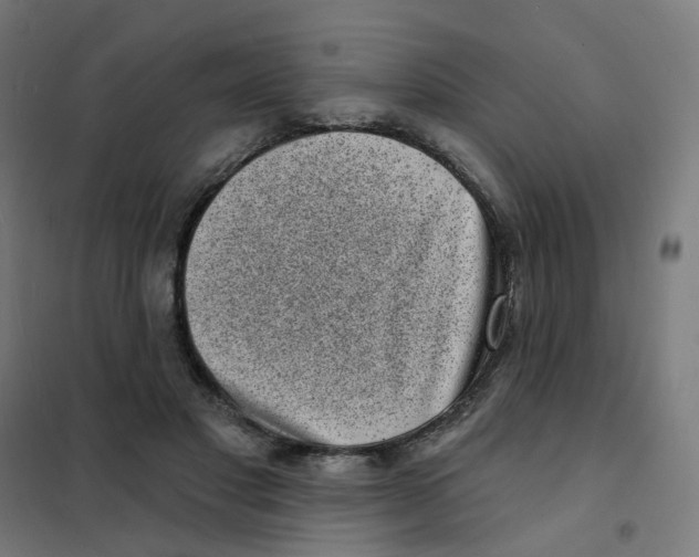 X0000101700501200808071202