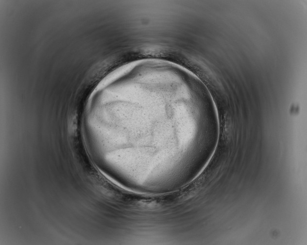 X0000101700502200808071202