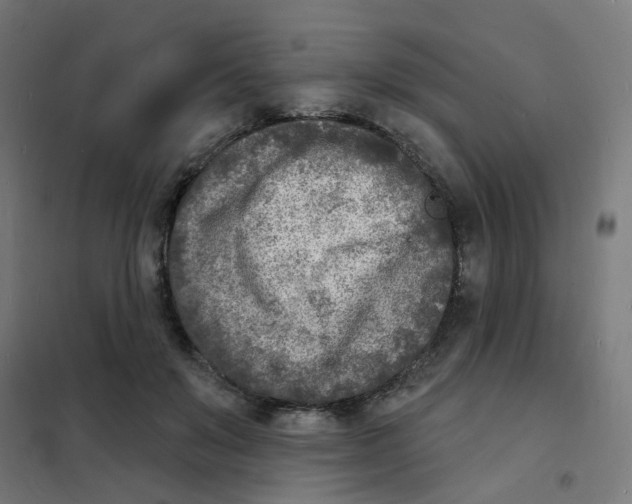 X0000101700503200808071202