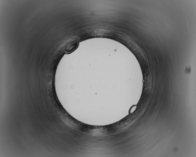 X0000101700505200808071202
