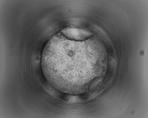X0000101700507200808071202