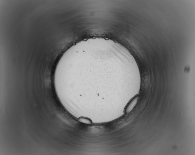 X0000101700508200808071202