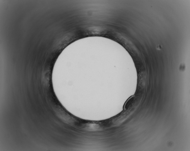 X0000101700509200808071202