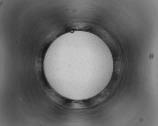 X0000101700510200808071202