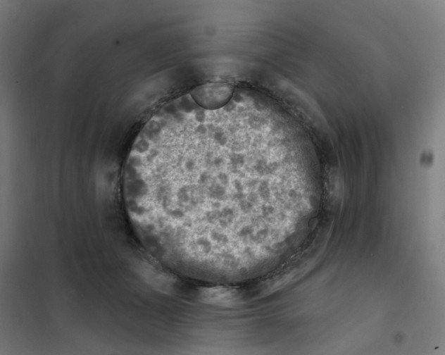 X0000101700511200808071202