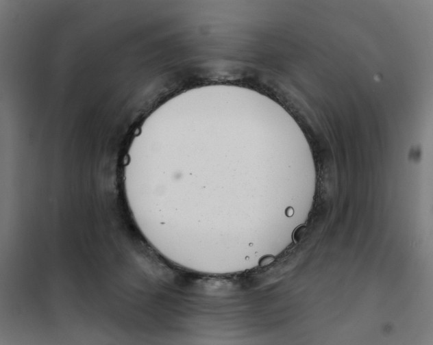 X0000101700512200808071202