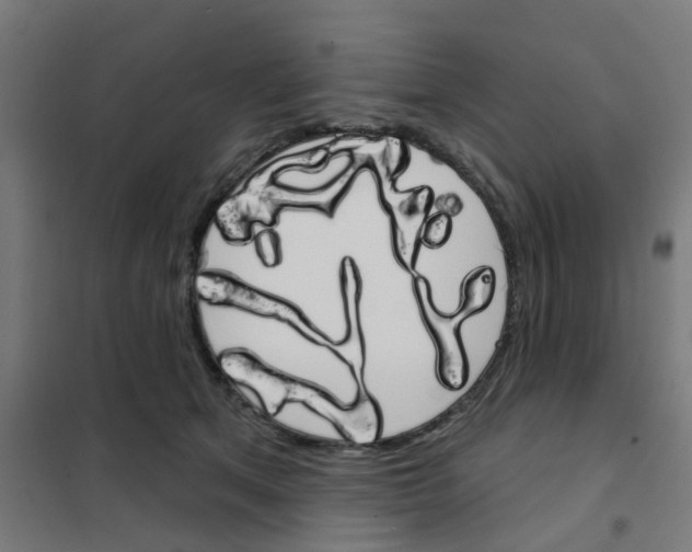 X0000101700513200808071202