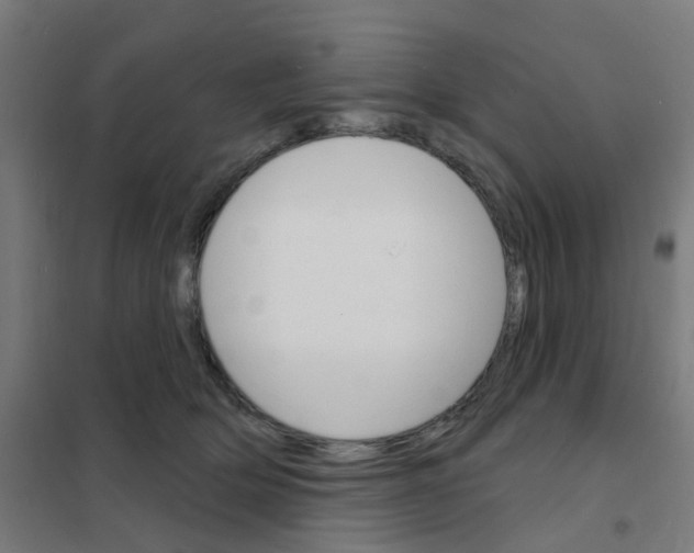 X0000101700514200808071202