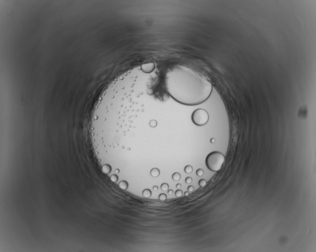 X0000101700515200808071202