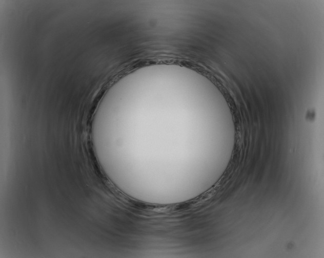 X0000101700516200808071202