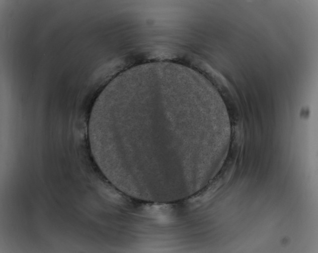 X0000101700517200808071202