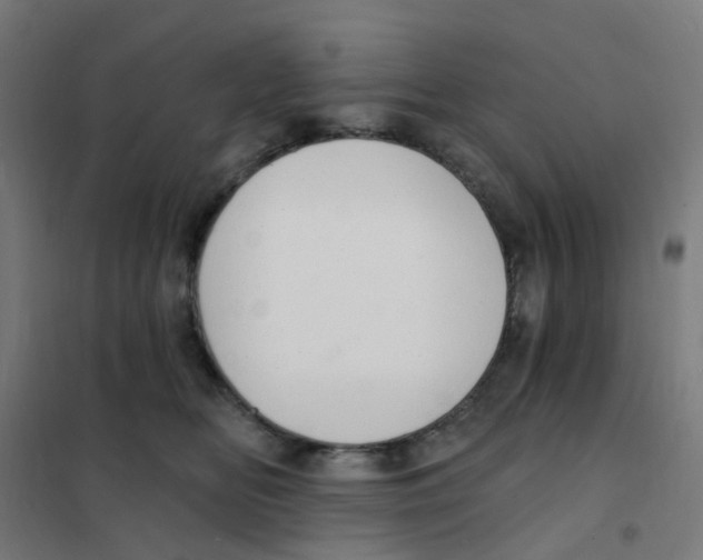 X0000101700518200808071202
