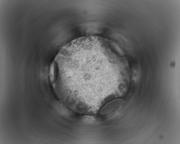 X0000101700519200808071202