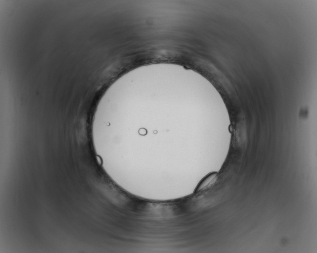 X0000101700520200808071202