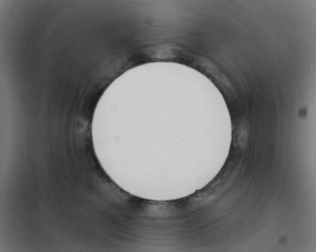 X0000101700521200808071202