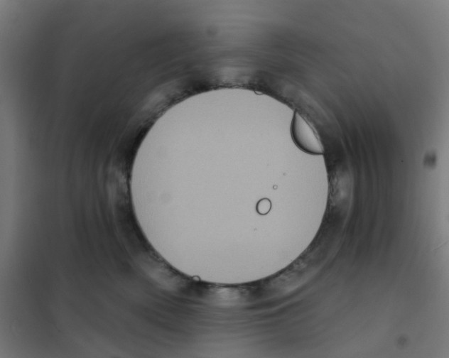 X0000101700522200808071202